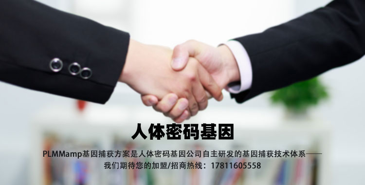 手机端 招商加盟